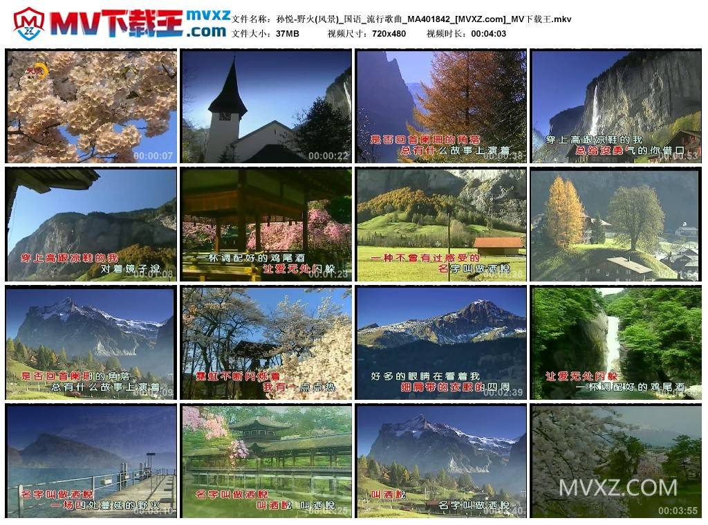 孙悦-野火(风景)_国语_流行歌曲_MA401842